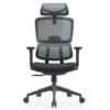 High-Back Ergonomic Mesh Chair with Adjustable Arms