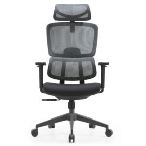 High-Back Ergonomic Mesh Chair with Adjustable Arms