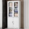 Half-Glass Steel Filing Cabinet