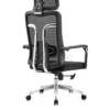 Ergonomic Mesh Office Chair with Chrome Base