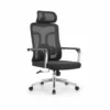 Ergonomic Mesh Office Chair with Chrome Base