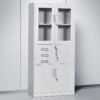 Steel Filing Cabinet with Safe and Glass Doors